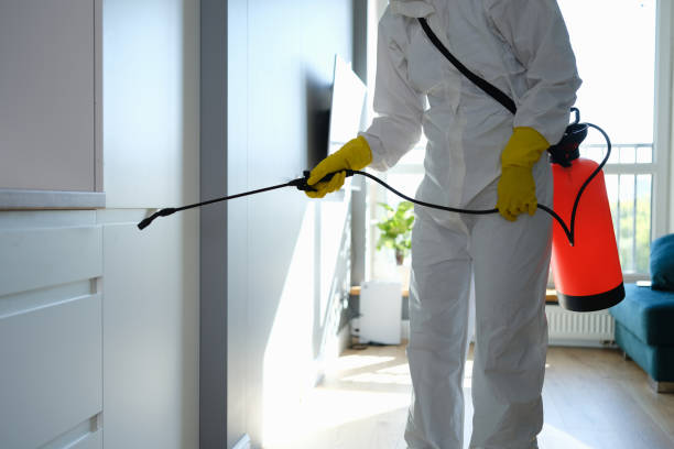 Water Damage Restoration in Bishopville, SC
