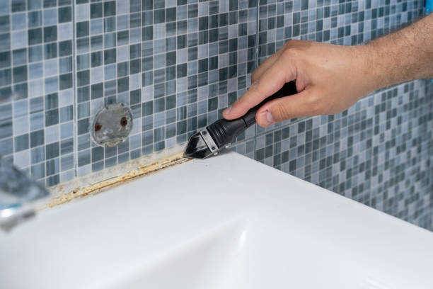Best Mold Testing  in Bishopville, SC