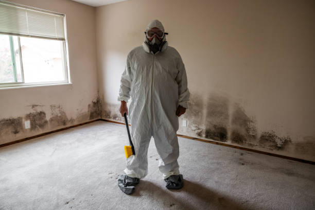 Certified Mold Removal in Bishopville, SC